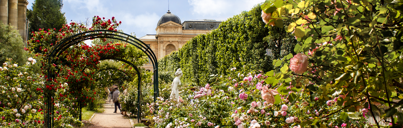 Jardin des plantes